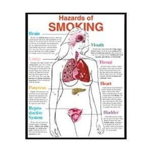  Hazards of Smoking 3D Chart, Framed