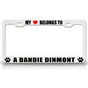 MY HEART BELONGS TO A DANDIE DINMONT Dog Pet Steel Metal Auto License 