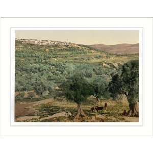  General view Samaria Holy Land (Sabastiyah Israel), c 