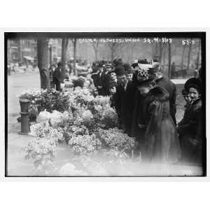  Easter flowers for sale in Union Square,New York