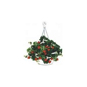  Strawberry Hanging Basket Kit: Patio, Lawn & Garden
