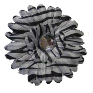  Zebra Daisy Flower Hair Clip: Home & Kitchen