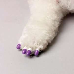  Canine Soft Claws Spring Colors Pack XXlg Kitchen 