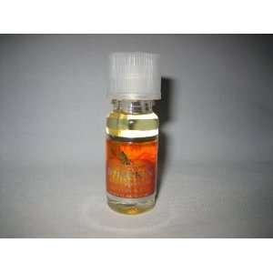 Bath and Body Works The Perfect Autumn PUMPKIN Home Fragrance Oil 0.33 