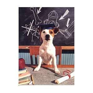  Jack Russell Terrier Graduation Card 