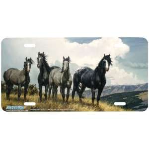 Amazing Grays IV Horse Art License Plate Car Auto Front Novelty Tag by 