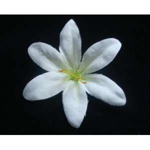  NEW White Small Lily Hair Flower Clip, Limited.: Beauty