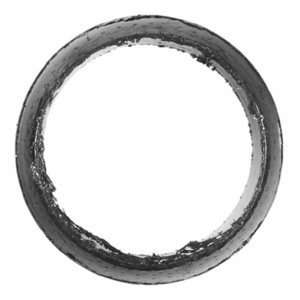  Victor F17250 Exhaust Pipe Packing Ring: Automotive