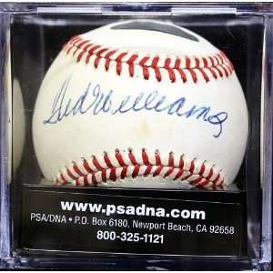   Ted Williams Signed Baseball Graded Psa/dna 8 Nm mt: Sports & Outdoors