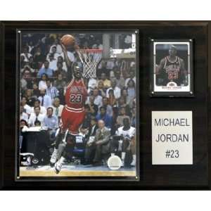  Chicago Bulls Michael Jordan 12x15 Player Plaque: Sports 