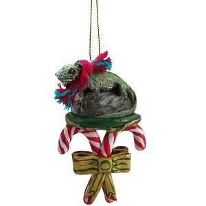  Iguana Candy Cane Christmas Ornament: Home & Kitchen