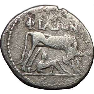 Dyrrhachium (Epidamnos) in Illyria 208BC Cow Authentic Ancient Silver 