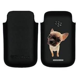  Chihuahua Puppy on BlackBerry Leather Pocket Case 