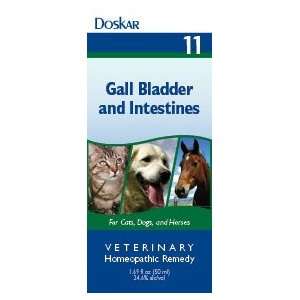  Gall Bladder and Intestine Aid for Pets and Animals 