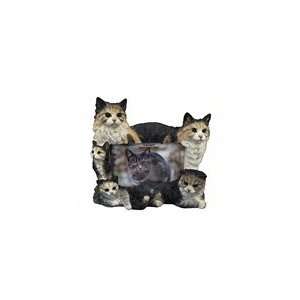  Maine Coon Cats Frame: Home & Kitchen
