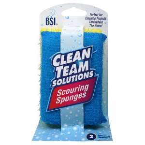  Clean Team Solutions Scouring Sponges, Six, 2 Count 