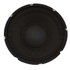  AUDIO   Richter 10   10 PA/DJ Raw Replacement Woofer or Speaker 