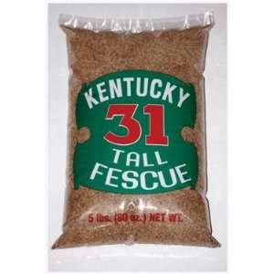  Kentucky 31 Fescue Grass Seed 5 lb