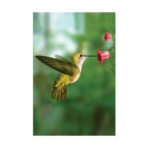  Hummingbird Blank Journal Unlined (Books) (Hummingbirds 