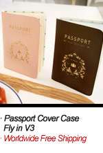   Passport Cover ID Case Holder Pocket _SHINZI_ New Passport Box  