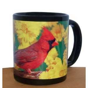  Red Northern Cardinal Bird 11 oz Black Mug: Everything 