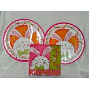   Easter Bunny Paper Plates and Napkins Set Service For 16 Toys & Games