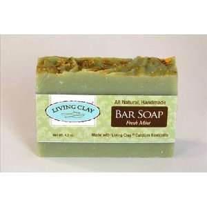   Clay Exfoliant Skin Care Soap For Oily Skin   Herbal Face & Body Soaps