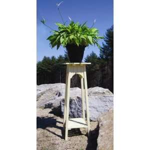    Achla Designs OFP 01 English Plant Stand: Patio, Lawn & Garden
