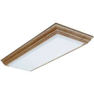 Lithonia Lighting 11431 RE UNFIN Unfinished Cambridge Energy Star 