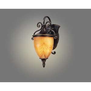 com Troy Lighting B1621OBZ Nouveau 1 Light Outdoor Wall Light in Old 
