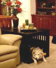 Solid Wood DOG CRATE End Side TABLE Office Bedroom LG  