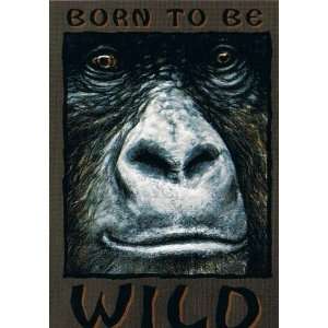  Artistic Note Cards   Gorrila   Born To Be Wild