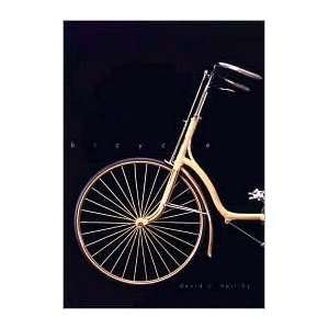   : Bicycle: Publisher: Yale University Press: David V. Herlihy: Books