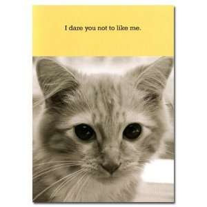 Dare You Kitten Birthday Card