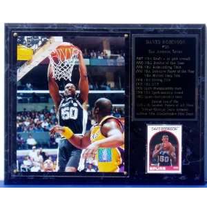  David Robinson 12x15 Plaque with Photo and Stats Sports 