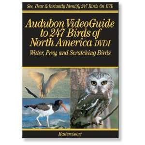 New Master Vision Audubon Video 247 Birds Water Prey And 