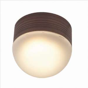   Satin MicroMoon 1 Light Frosted Glass Wet Location Ceiling/Wall Mount