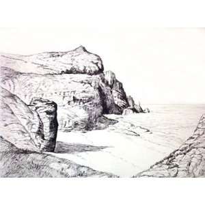 Cape of Good Hope Etching Chapman, William Topographical Engraving 
