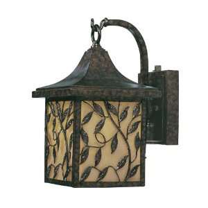   Outdoor Wall Lantern in New Tortoise Shell   Energy Star Size Small