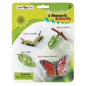  Life Cycle of a Monarch Butterfly Toys & Games