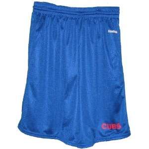  Mens Chicago Cubs Johnson Mesh Shorts: Sports & Outdoors