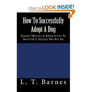 How To Successfully Adopt A Dog Discover These Little 
