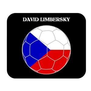    David Limbersky (Czech Republic) Soccer Mousepad: Everything Else