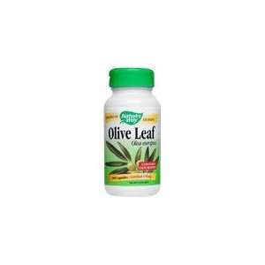  Olive Leaf Herbal Single   Promotes Immune System Health 