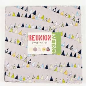  Sweetwater REUNION 10 Layer Cake Fabric Quilting Squares 