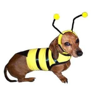 Halloween Bumble Bee Dog Costume : Toys & Games : 