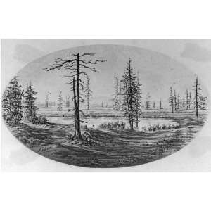 com Trees near,lake,landscape,winter,drawings,reproductions,sketches 
