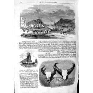 1859 JOHNS NEWFOUNDLAND JOHN KENT HEAD GAOUR THAMES