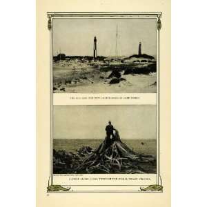   Virginia Beach Lighthouse Swamp   Original Halftone Print: Home