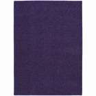   Rug NEW Carpet Purple SOLID soft KIDS children Exact Size 4ft. X 6ft